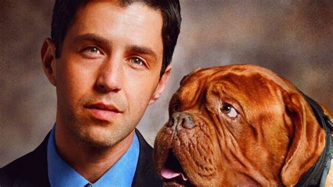 how to watch turner and hooch online stream the new disney plus