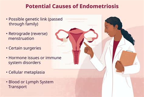 endometriosis genetics immune system menstruation