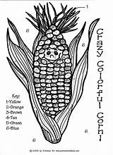 Corn Color Number Indian Coloring Fall Pages Printables Worksheets Word Search Thanksgiving Kids Puzzles Numbers Print Preschool Printable Math Cob sketch template