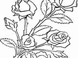 Flower Bleeding Heart Drawing Pages Coloring Bouquet Paintingvalley Roses Getdrawings sketch template