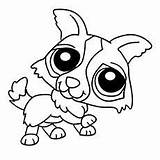 Coloring Pages Pet Choose Board Littlest sketch template