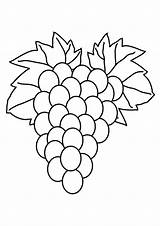 Grapes Coloring Pages Fruit Color Ape Colouring Getcolorings Printable Colorluna sketch template