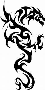 Dragon Tribal Tattoo Vector Cdr 3axis sketch template
