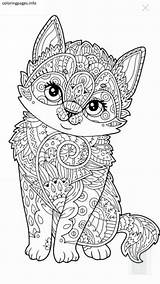 Mandala Coloring Pages Printable Animal Cat sketch template