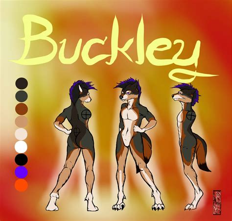 Buckley Ref Sheet Commission By Missaria Fur Affinity