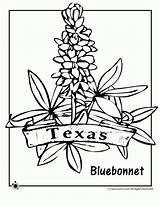 Texas Coloring Bluebonnets 880px 08kb sketch template