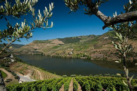 quintas mais bonitas  visitar  douro