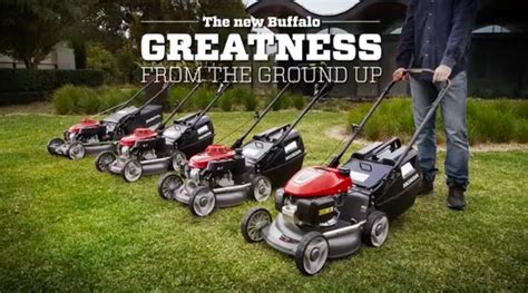 honda buffalo claims  greatness   ground
