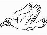 Uccelli Disegni Gaviota Ptice Ptica Colorare Flying Crtež Dvadeset Dva Bojanke Crtezi sketch template