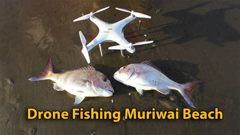 drone fishing  snapper muriwai beach  zealand aee condor fishing drone youtube