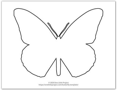 large butterfly shape    butterfly template butterfly outline