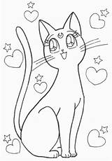 Gato Colorear sketch template