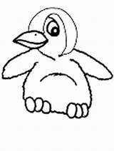 Coloring Chick Penguin Chicks Pages sketch template