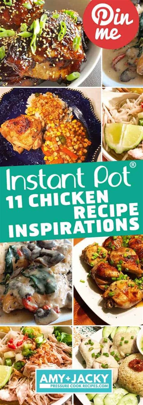 instant pot chicken dinner ideas    tested  amy jacky