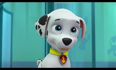 image marshall pups chill  blue eyespng paw patrol wiki