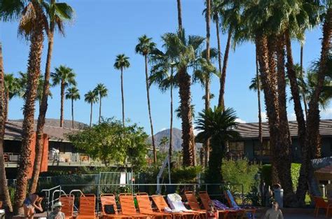 pool  night picture  caliente tropics resort palm springs