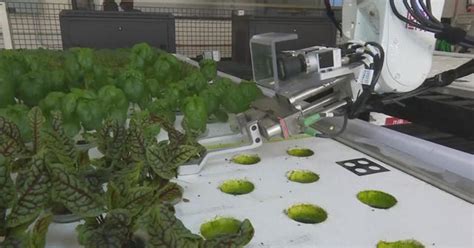 farm run entirely by robots cbs news