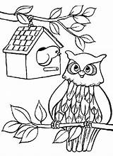 Hibou Coloriage Hiboux Pages Coloriages Owls Colorier Dessiner Justcolor Mignon Chouette Maternelle Danieguto Bird Azcoloriage sketch template