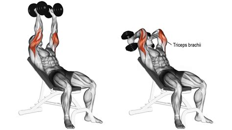 incline tricep extension  variations