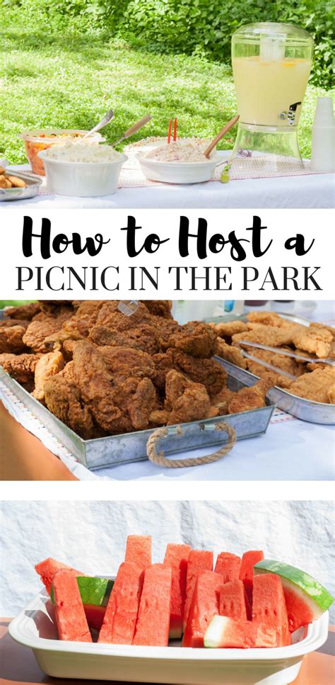 host  party   park party snack table food park food