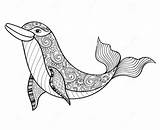 Coloring Stress Dolphin Pages Zentangle Relieve Animal Dolphins sketch template