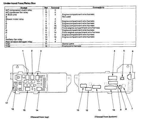 acura tl wiring diagram diagramwirings
