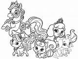 Colorare Colorkid Mascotas Disegni Whisker Tots Principesse Cuccioli Animali Colouring Wecoloringpage sketch template