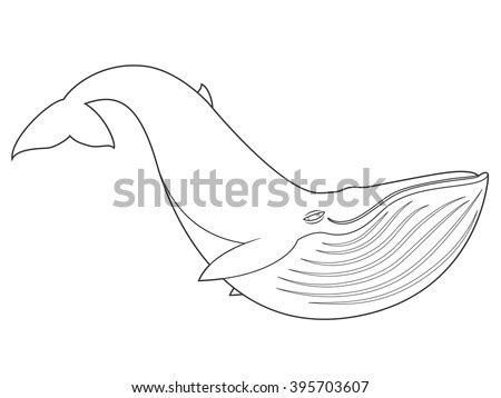 vector illustration blue whale  white stock vector