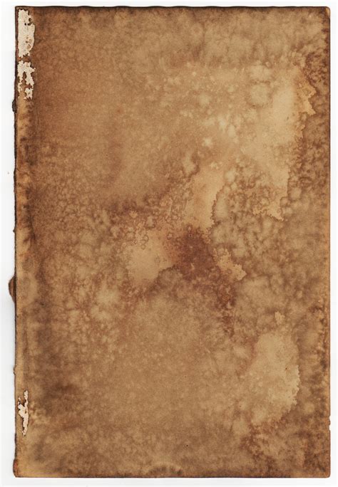 tan tea stained paper texture texture lt