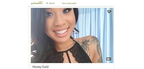 Gofundme Campaign Launched To Aid Honey Gold Official