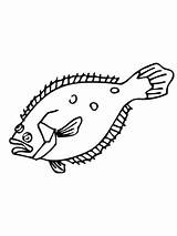 Flounder Coloring Pages Printable Clipart Flounders Color Online Supercoloring Categories sketch template
