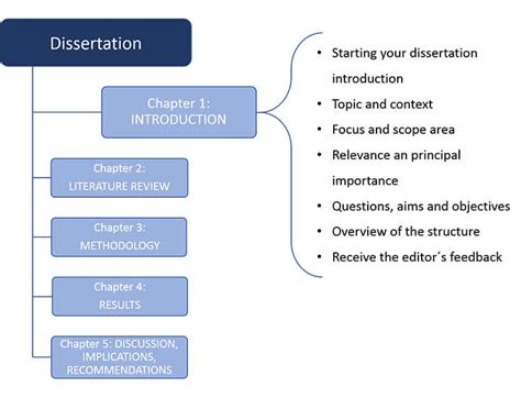 write  dissertation introduction
