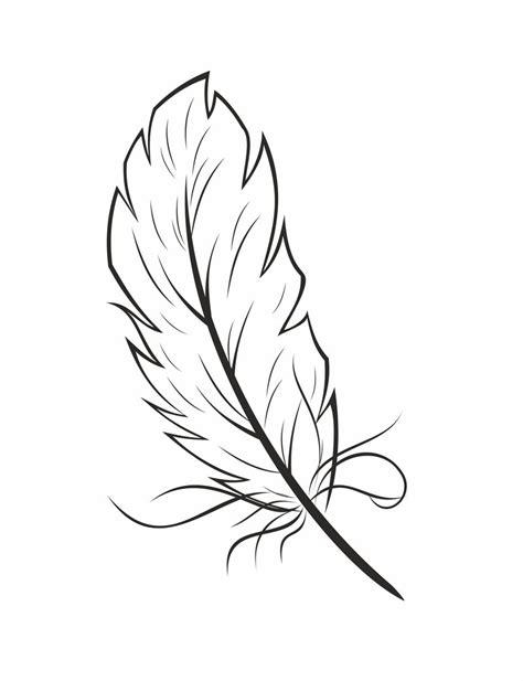 white feather drawing  getdrawings