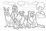 Kleurplaat Hund Hunde Premium Kado Purebred Honden Dieren Hond Ausmalbild Perros Psy Pura Raza Animados Dibujos Hunden Rasowe Printen Depositphotos sketch template