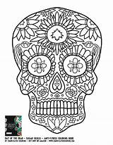 Coloring Adult Skulls Pages Sugar Popular sketch template