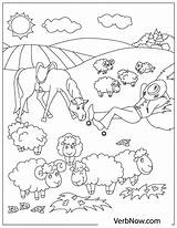 Sheep Flock Verbnow sketch template
