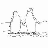 Coloring Penguin Humboldt Drawing Realistic Penguins Holding Snow Together Hand Two sketch template