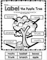 Kindergarten Labeling Freebies Math Labels sketch template