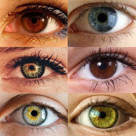 eye color trivia portland  hawthorne vision center