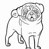 Pug Coloring Mastiff Pages Outline Neapolitan Color Getcolorings Clip Getdrawings Clipart sketch template