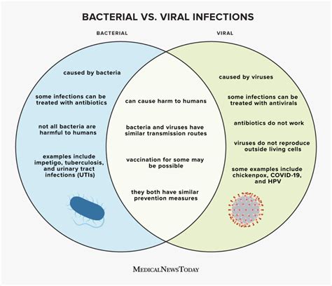 What Is The Difference Between Bacterial And Viral Infections