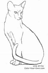 Cat Oriental Siamese Coloring Line Sitting Drawing Color Cats Pages Sit Own Draw Drawings Gif Non Getdrawings sketch template