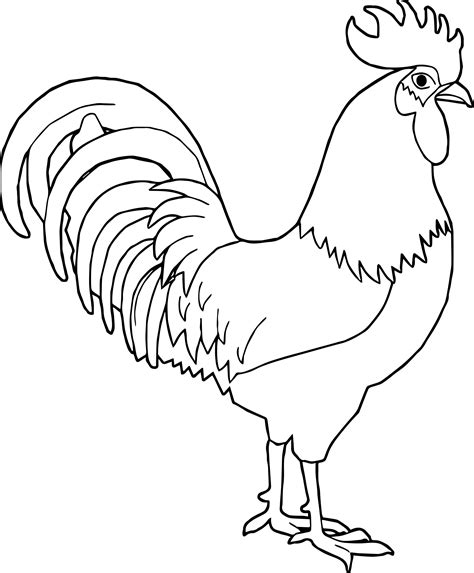rooster coloring page wecoloringpagecom