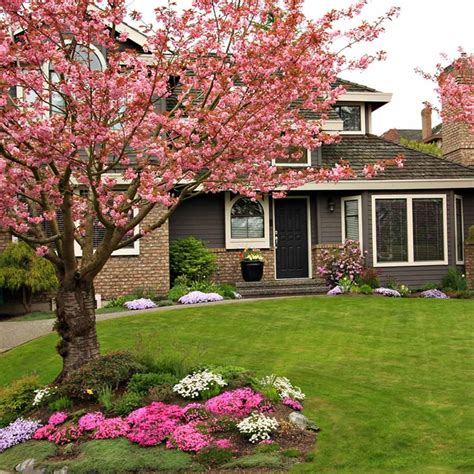 tips  landscaping  trees family handyman