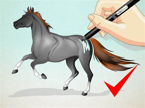 draw  realistic  horse  pictures wikihow