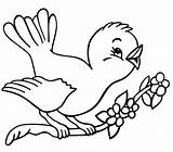 Spring Pages Coloring Birds Bird Printable Ecoloring Kindergarten Adult sketch template