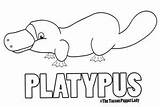Platypus Coloring Pages Puppet Patterns Hand Puppets Choose Board Colour Animal sketch template