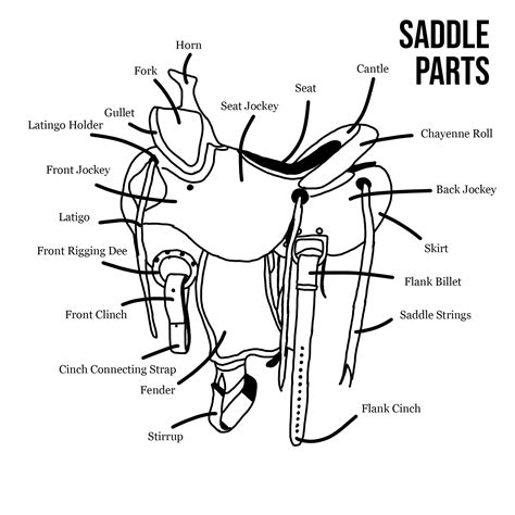 printable parts   saddle worksheet