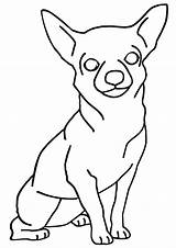 Chihuahua Chihuahuas Bestcoloringpagesforkids Dxf Eps sketch template