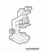 Microscope Unlabeled Labeled Timvandevall Microscopes Webstockreview sketch template